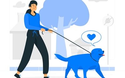 Cani Liberi o al Guinzaglio: Un Approccio Educativo per una Convivenza Equilibrata 🐾